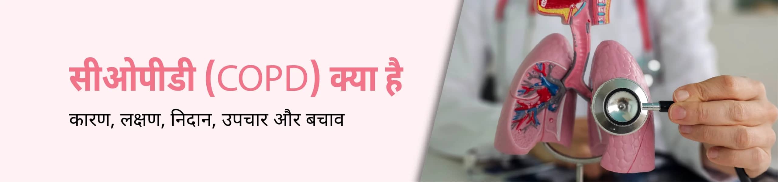 CK Birla Hospital
