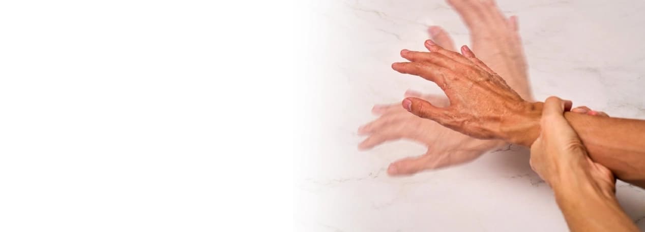 Inner page banner