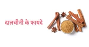 दालचीनी के फायदे, नुकसान और सेवन का सही तरीका: जानें विशेषज्ञों की सलाह