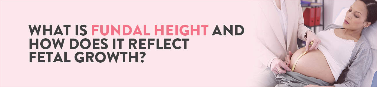 Fundal Height, Fundal Height in Pregnancy, Fundal Height measurement, Fundal Height Chart, Normal Fundal Height