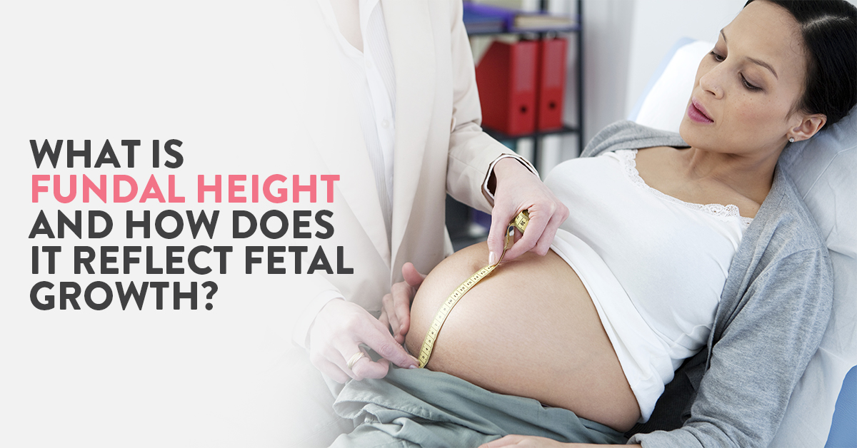 Fundal Height, Fundal Height in Pregnancy, Fundal Height measurement, Fundal Height Chart, Normal Fundal Height