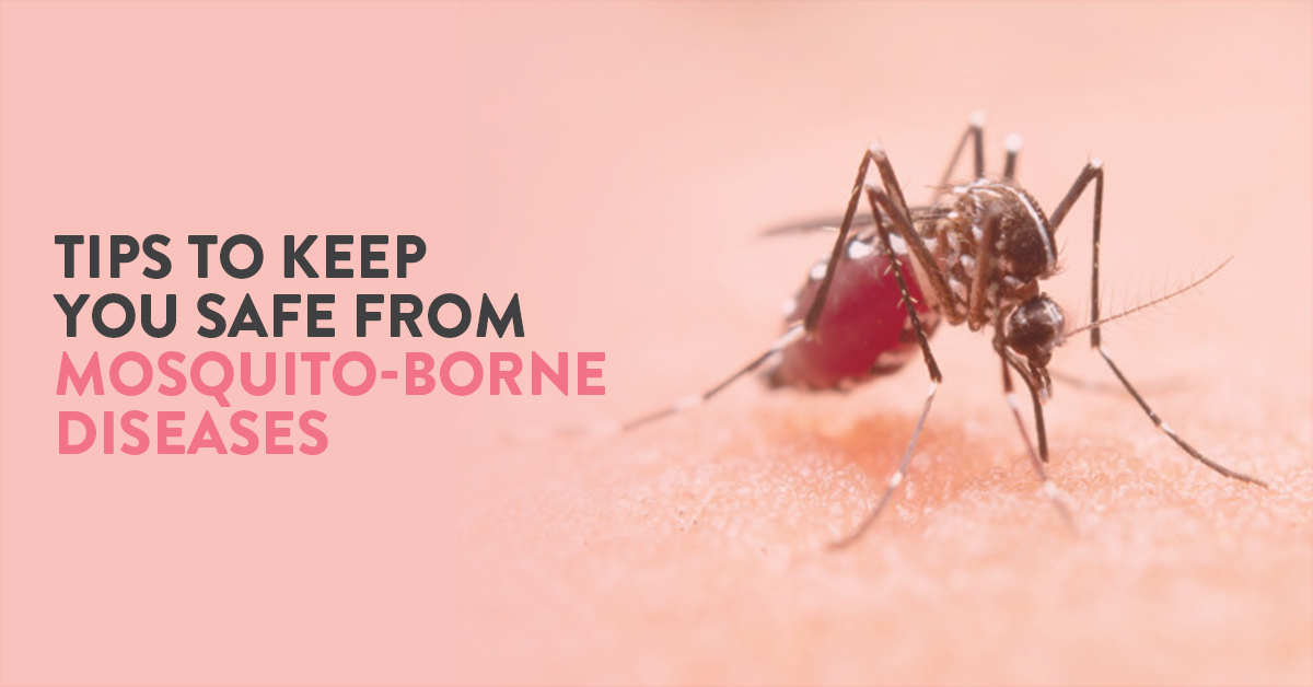 Mosquito borne disease, Dengue, Malaria, Chikungunya, Tips to prevent mosquito borne disease
