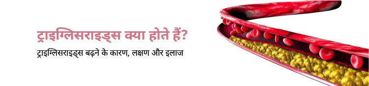 triglycerides in Hindi banner Image
