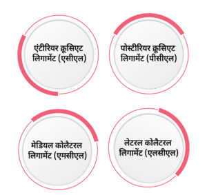 image showing types of ligaments in hindi