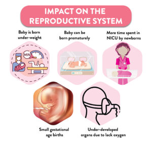 oro tarša Poveikis reprodukcinei sistemai