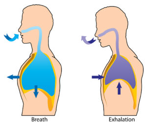 Nasal Breathing