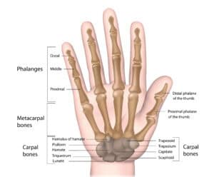 causes of wrist pain