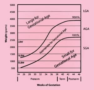  gestational age chart