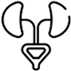 urology-icon