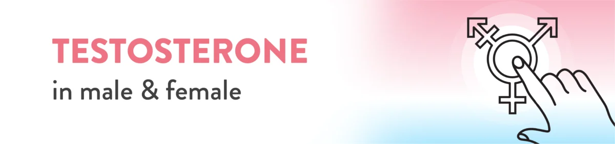 testosterone level in male