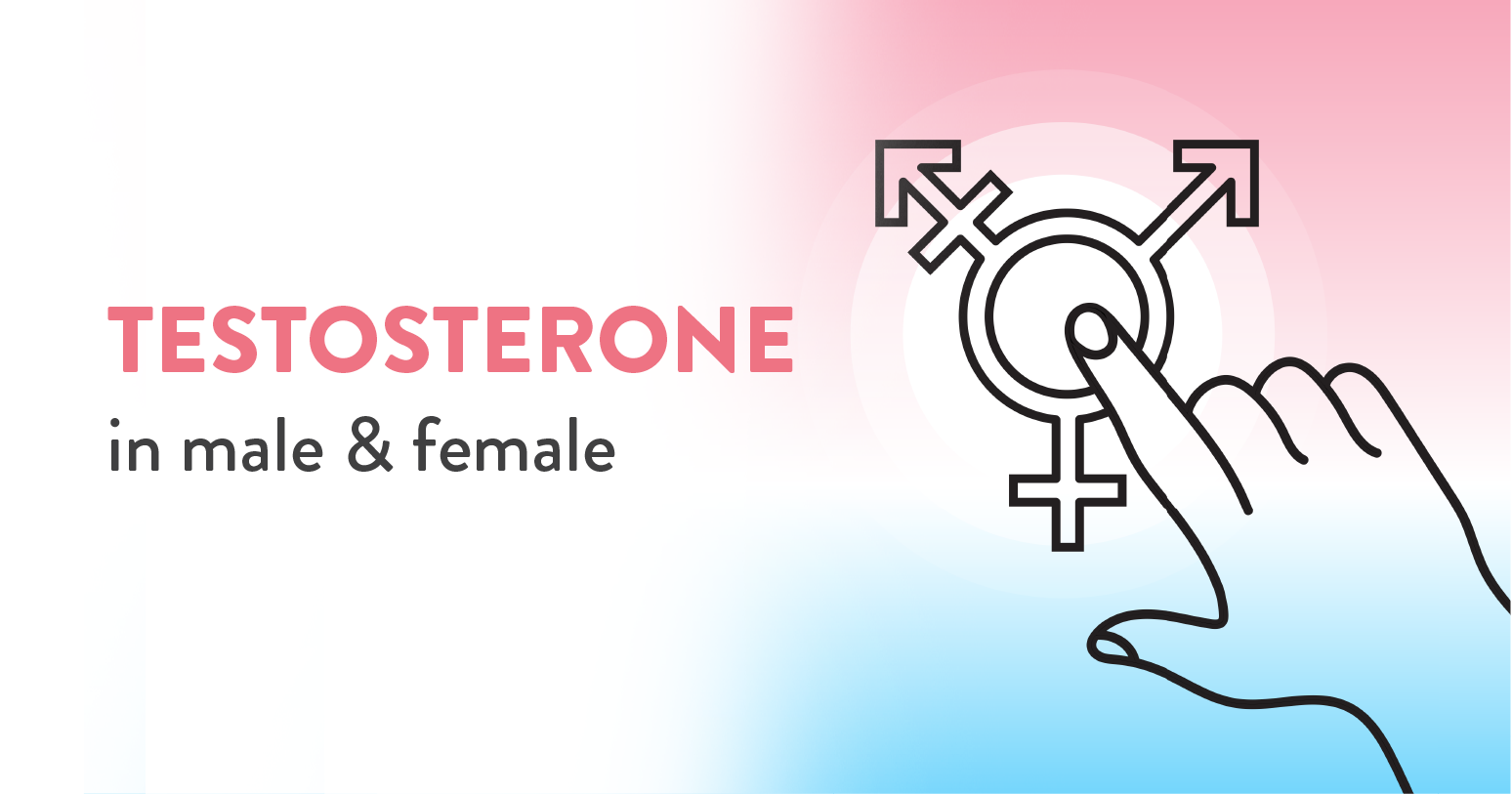 testosterone level in female