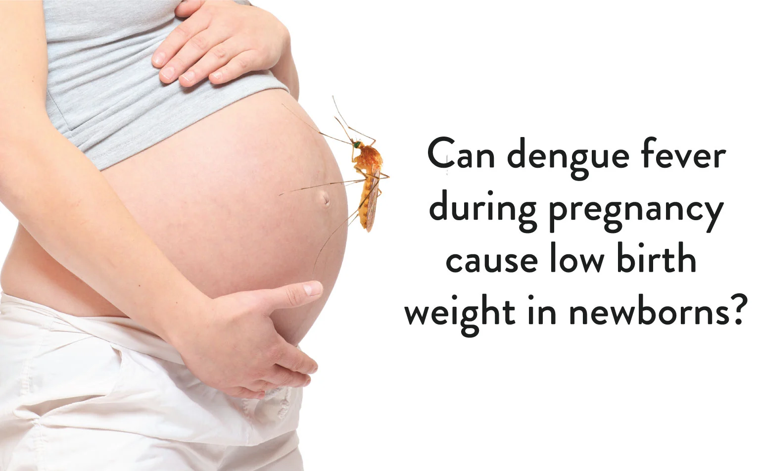 Can dengue fever During Pregnancy cause low Birth Weights in Newborns