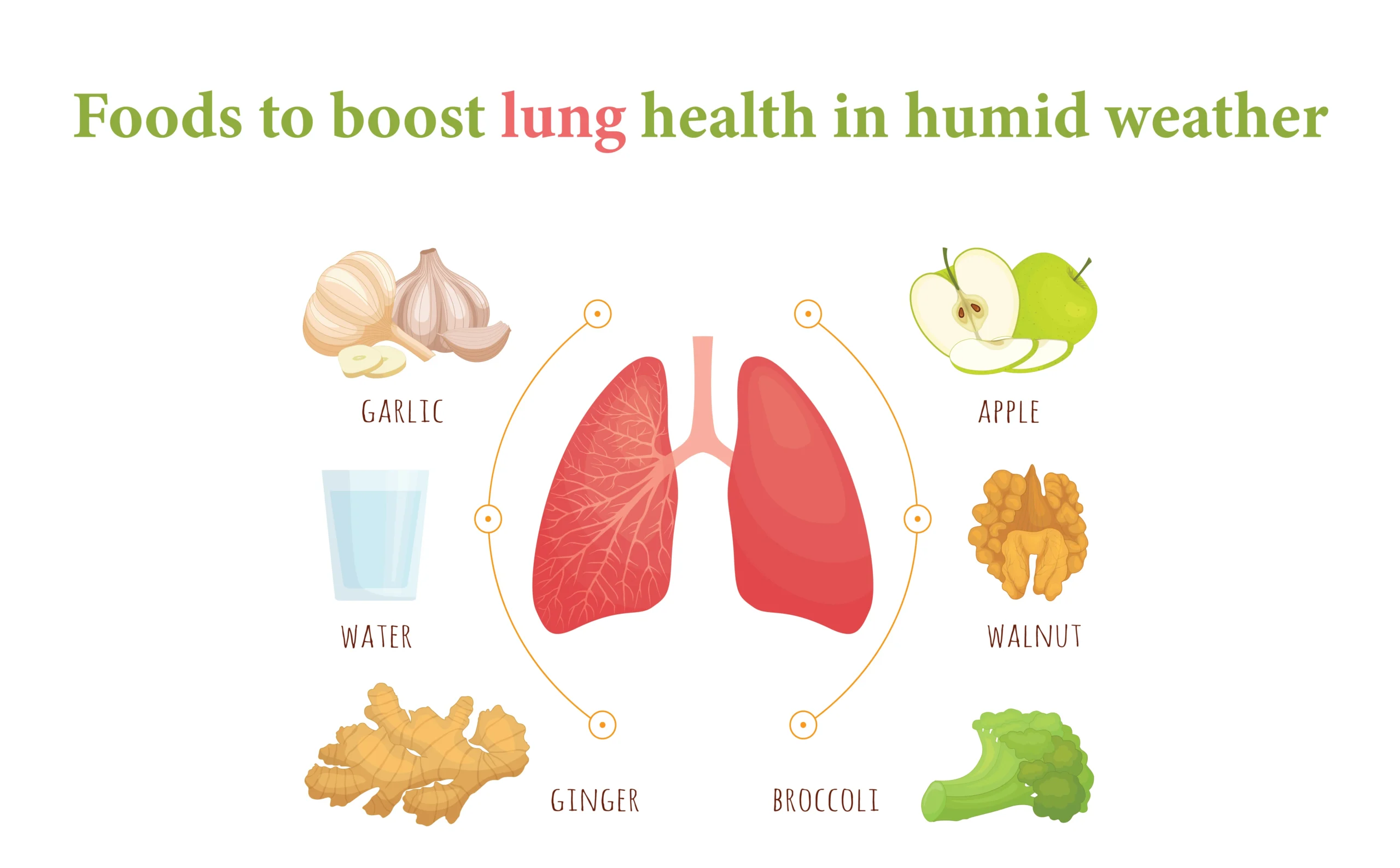 Foods to Boost Lung Health in Humid Weather