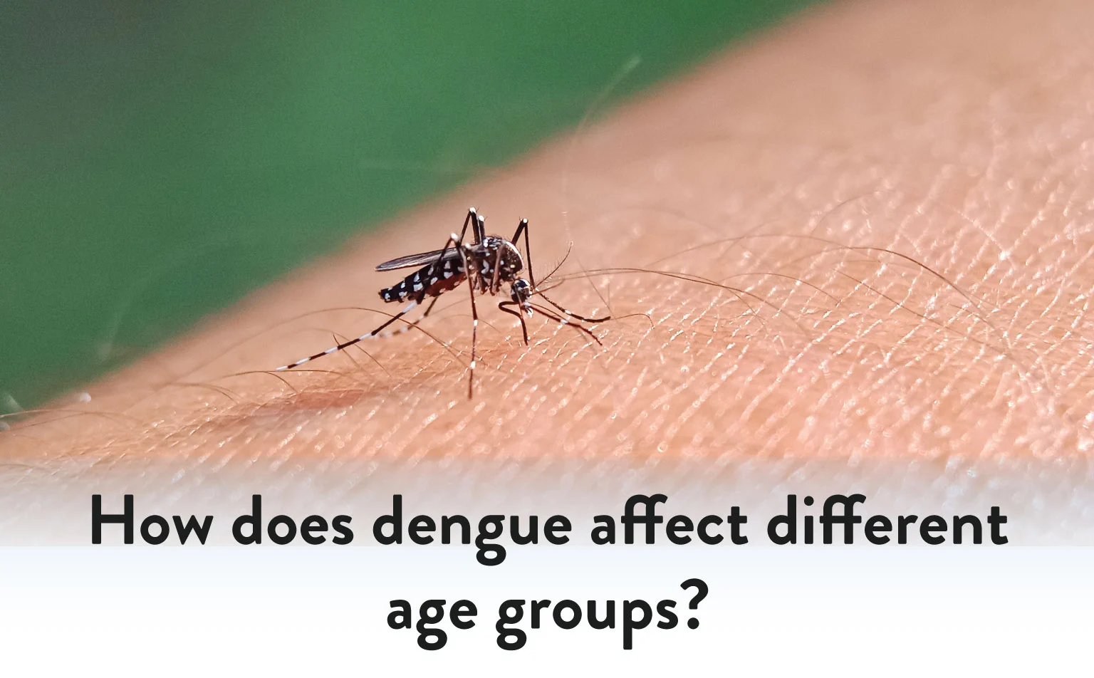 How Does Dengue affect Different Age Groups?