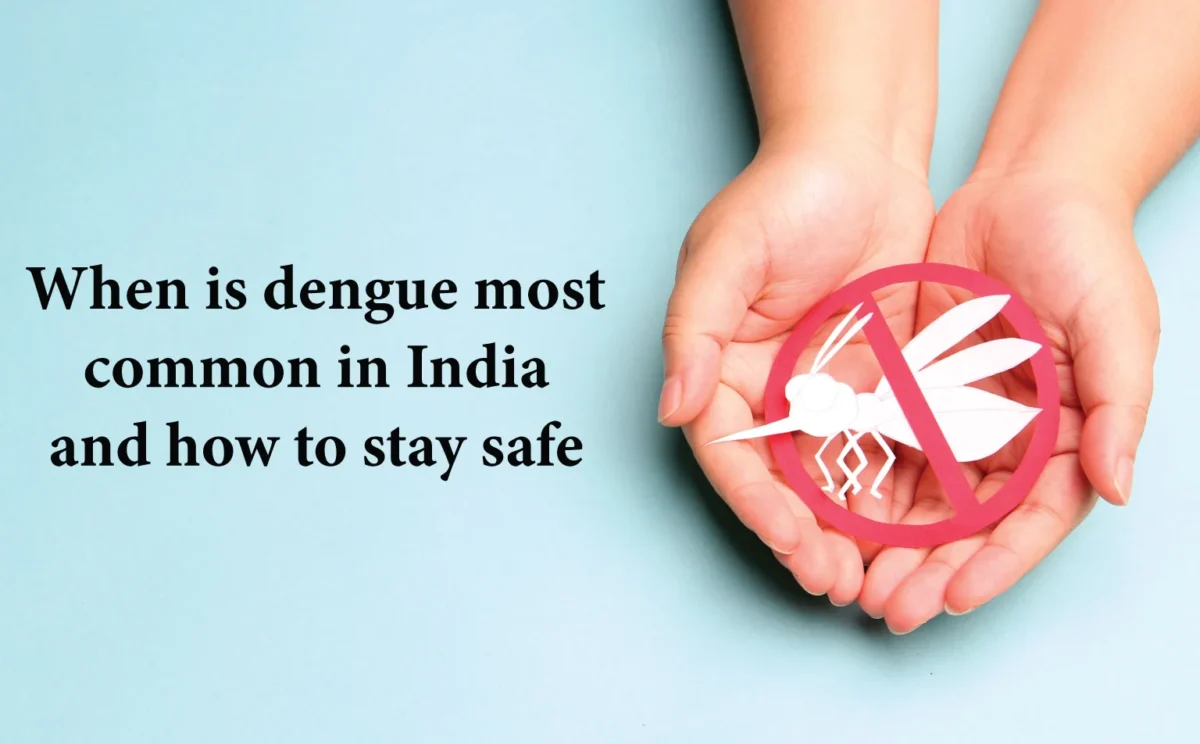 When-is-dengue-most-common-in-India-How-to-stay-safe
