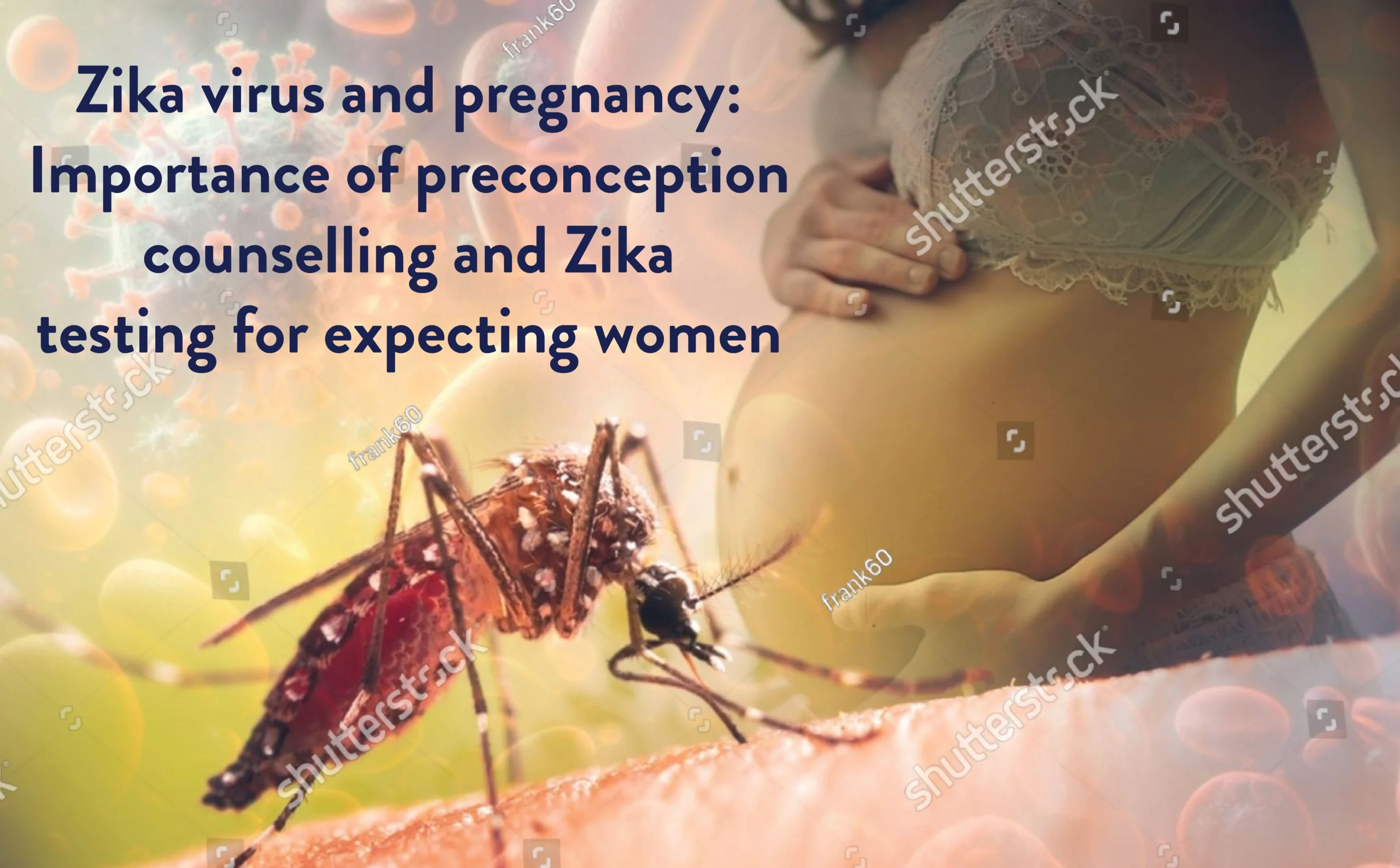 Zika Virus and Pregnancy: Importance of Preconception Counselling and Zika Testing for Expecting Women