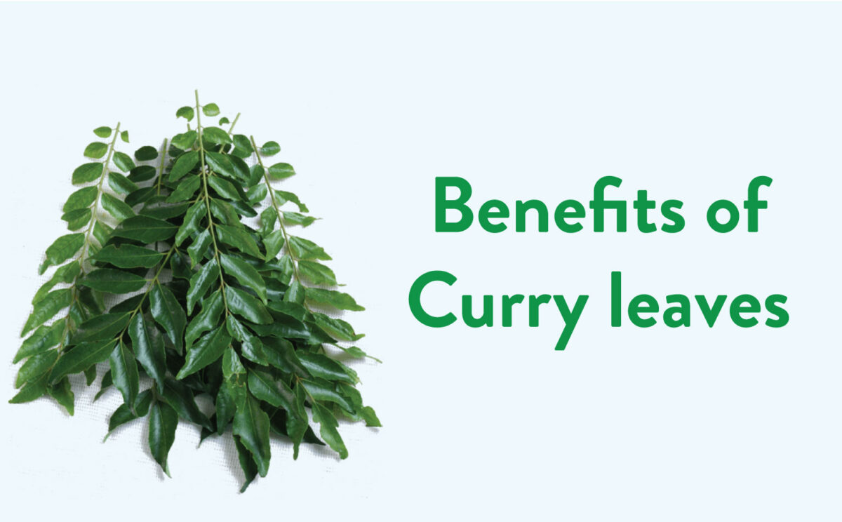 Benefits-of-Curry-leaves