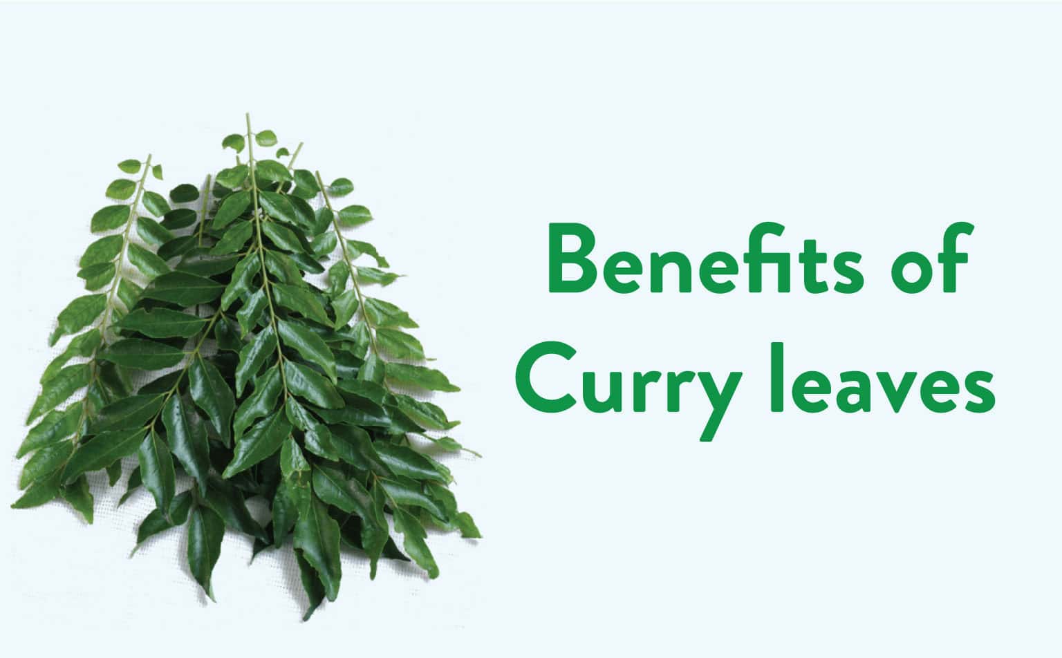 Benefits of Curry Leaves