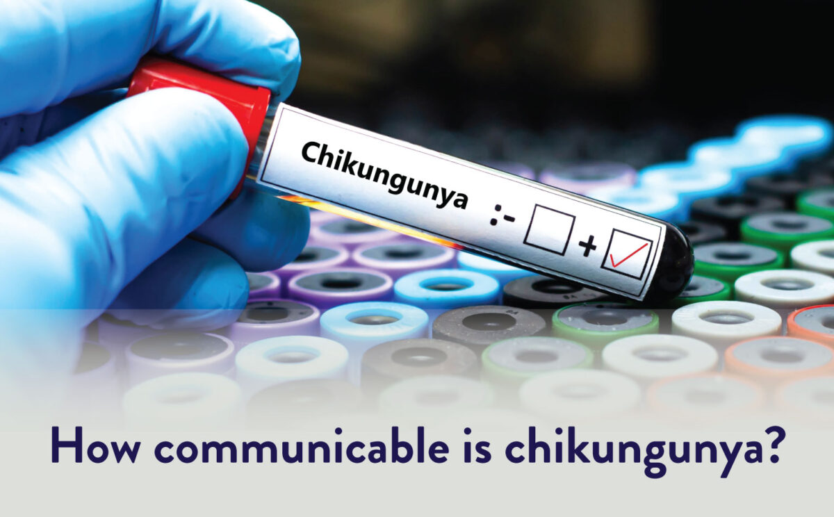 How-communicable-is-chikungunya